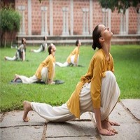 Surya Kriya Sadhguru | Retreats Yore Yoga