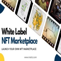 White Label NFT Marketplace 