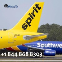 Spirit Airlines Reservation Phone Number 1 844 8688303